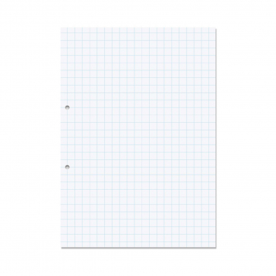 A4 10mm Squares 2 Hole Punched 500 Sheets